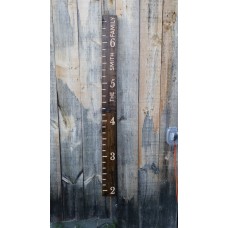 Wooden Growth Chart Engraved Wall Ruler